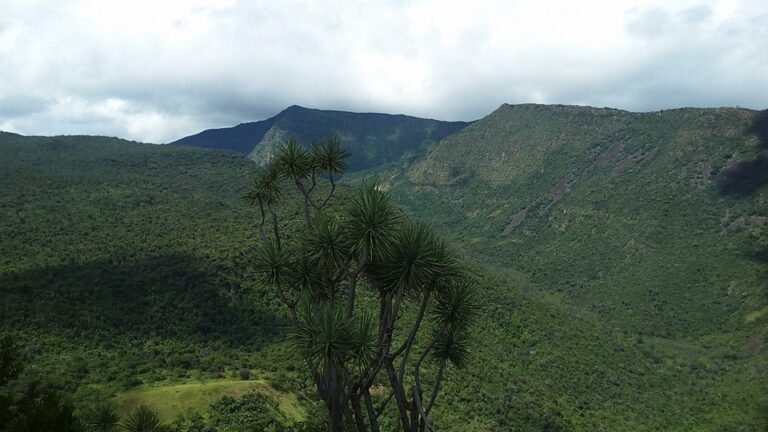 getlstd-property-photo